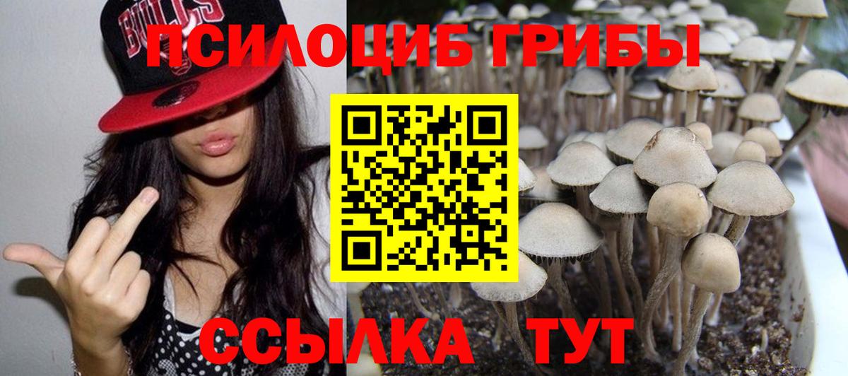Галлюциногенные грибы GOLDEN TEACHER  Вход с VPN  Одинцово  Галлюциногенные грибы Cubensis 